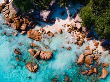 Praslin Seyşeller 'deki muhteşem Grand Anse Sahili' ni keşfedin. Yumuşak beyaz kumların berrak turkuaz sularla buluştuğu yer. Bereketli yeşillik kayalık kıyı şeridini çerçeveler, güneşin altında dinlenmeye davet eder..