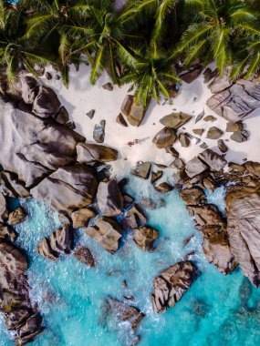 Seyşeller, La Digue Adası 'ndaki Anse Patates' in nefes kesici hava perspektifi, canlı palmiye ağaçları ve kristal berrak sularla çevrili tenha bir sahili ortaya çıkarıyor..