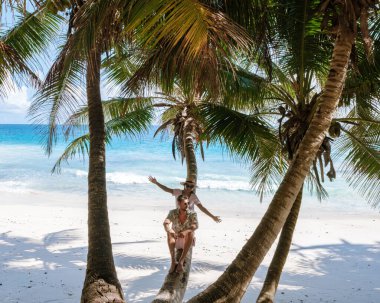 İki arkadaş, bereketli palmiye ağaçları ve ışıl ışıl mavi sularla çevrili tropikal bir sahilde neşeli bir anı paylaşıyor. Canlı sahne Seyşeller 'de mükemmel bir kaçamağın özünü yakalıyor..