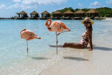 Aruba 'nın güzel sahillerinde sakin bir anın tadını çıkarın. Flamingolar parlak bir gökyüzünün altında zarif bir şekilde yürürken bir kadın kıyı şeridinde huzur içinde oturuyor..