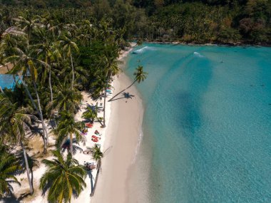 Koh Kood, Tayland 'daki Khlong Hin Sahili' nin güzelliğini görün. Sakin turkuaz sular, sallanan palmiyelerle kaplı el değmemiş kumlu bir kıyıya çarpar. Tropikal bir kaçış için mükemmeldir..