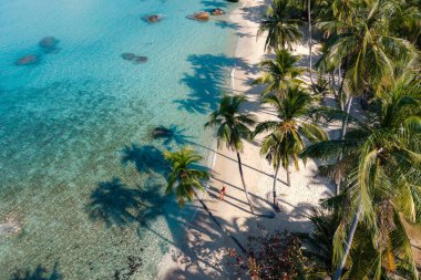 Ao Noi Sahili 'nin sakin sularını ve altın kumlarını keşfedin, Koh Kood, bereketli palmiyelerin rüzgarda hafifçe sallandığı. Burası huzur ve macera arayan tatilciler için mükemmel bir yer..
