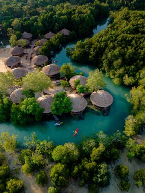 Canlı yeşillik, sakin su kanalları boyunca kurulmuş geleneksel sazdan çatılı bungalovlar. Koh Phayam, Tayland, bungalovlar bir otel ve mangrov ağacı ormanıyla nehri kaplıyor ve insanlar kano yapıyor.