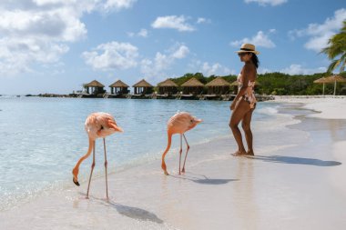 Bir gezgin, Aruba sahilinde sakin bir günün tadını çıkarır. Etrafı nazik dalgalarla çevrilidir. İki zarif flamingo kıyı boyunca geziniyor ve bu tropikal cennete bir cazibe katıyor..