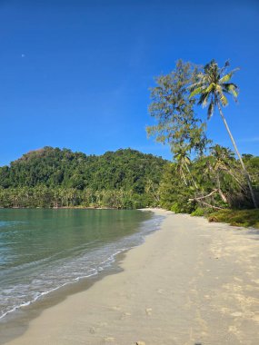 Tayland 'ın Koh Kood kentindeki Ao Phrao Sahili' nin sakin cazibesini yaşayın. Yumuşak kumların parlak mavi bir gökyüzü altında nazik dalgalarla buluştuğu yer. Rahatlamak ve keşfetmek için mükemmel..