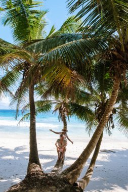 La Digue 'da Anse Patates' in güneşle öpülmüş kıyılarında sakin bir plaj sahnesi sergileniyor. Ziyaretçiler sallanan palmiye ağaçlarının altında kristal berrak sular ve yumuşak kumlu plajlarla tropikal bir kaçamağın tadını çıkarıyorlar..