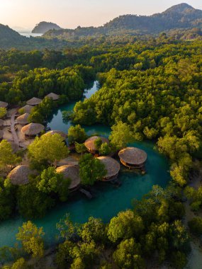 Andaman Denizi 'nde yuva yapmış olan Koh Phayam Adası, canlı yeşil mangrovları ve Tayland' ın kristal berrak sularıyla çarpıcı bir doğal güzelliğe sahip.