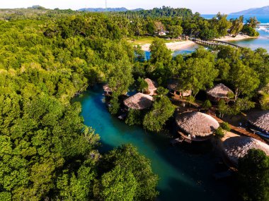 Koh Phayam Adası, Tayland, sergiler canlı yeşillikler içinde sakin köy kulübeleri.