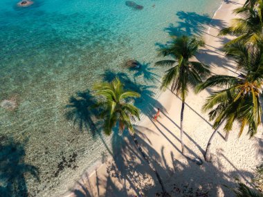 Koh Kood, Tayland 'daki Ao Noi Sahili' nin huzur dolu cazibesini keşfedin. Bereketli palmiye ağaçları yumuşak beyaz kuma gölge düşürür. Kumsala gidenleri dinlenmeye ve parlayan denizin kenarında gevşemeye davet eder..