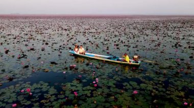 Kızıl Lotus denizi Tayland, Udon Thani 'deki Nong Harn Gölü' nde canlı kırmızı nilüfer çiçekleriyle çevrili geleneksel bir tekne. Bu çarpıcı yer unutulmaz seyahat deneyimleri için mükemmel bir zemin..