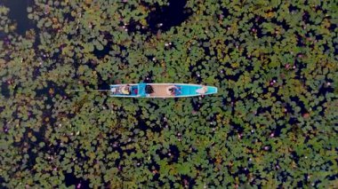 Nong Harn Gölü 'nün büyüleyici manzarasını keşfedin. Su yüzeyinde canlı kırmızı nilüfer çiçekleri dans eder. Ziyaretçiler büyüleyici doğayla çevrili sakin bir tekne yolculuğunun tadını çıkarıyorlar. Kızıl Lotus denizi Tayland