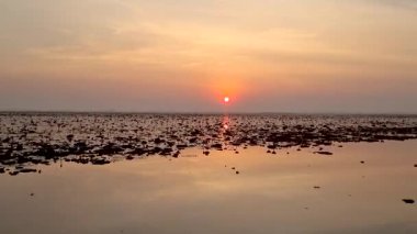 Ufkun altında güneşin batışını izlemek, Nong Harn Gölü 'nün huzurlu sularına altın renkleri dökmek, canlı kırmızı nilüfer çiçekleriyle süslenmek. Kızıl Lotus denizi Tayland