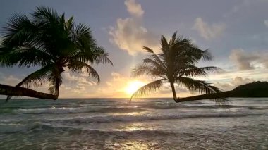 Nefes kesici bir günbatımına tanık olun. Gökyüzünde canlı renkler döküyor. Palmiye ağaçları, Koh Kood, Trat Tayland 'da sakin bir sahilde yavaşça sallanıyor..