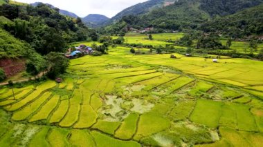 Tepeler boyunca uzanan yemyeşil çayırlarla Chiang Mai pirinç teraslarının nefes kesici güzelliğini tecrübe edin. Bu manzara Tayland kırsalının tarım cazibesinin özünü yansıtıyor..