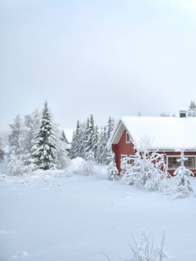 Ağaçların arasına sıkıştırılmış büyüleyici kırmızı kulübeler güzel bir kış kaçışı yaratırken, kar Akaslompolo 'nun huzurlu manzarasını örtüyor. Laponya 'nın sakinliği bu büyüleyici sahnede parlıyor..