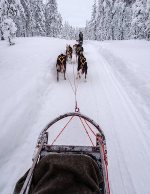 Akaslompolo 'nun el değmemiş, karla kaplı ormanlarında kızak çeken bir grup kurbağanın olduğu Laponya' nın göbeğinde köpek kızağının heyecanını yaşayın..