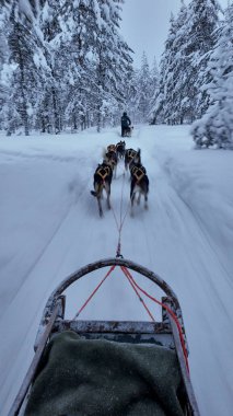 Köpek kızağının heyecanını Akaslompolo 'nun büyüleyici kış manzarasında yarışan hevesli köpeklerden oluşan bir takım olarak yaşayın. Laponya 'nın huzurlu güzelliği bu heyecan verici yolculuğun etrafını sarar..