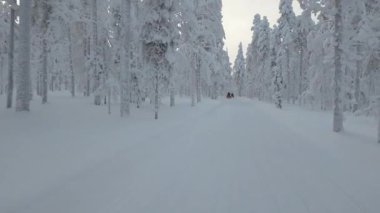 Akaslompolo 'nun Lapland, Finlandiya' daki el değmemiş karlı patikalarını keşfedin. Buz tutmuş ağaçlar macera arayanlar için büyülü bir kış harikalar diyarı oluşturur..