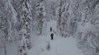 Karla kaplı ağaçlar, maceracıların Laponya, Finlandiya 'da yuva yapmış Akaslompolo' nun kışlık arazisinde ilerlemesiyle büyüleyici bir manzara yaratır. Huzurlu güzellik hayranlık ve merak uyandırır..