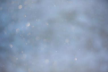 Çok güzel bir doğal çiçek.