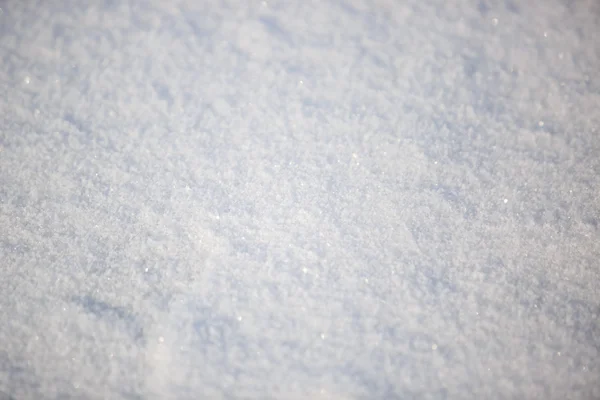 Nieve Cae Lentamente Encuentra Suelo —  Fotos de Stock