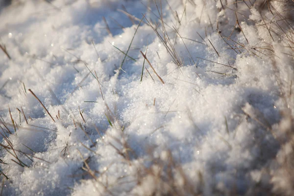 Neve Cai Lentamente Encontra Chão — Fotografia de Stock