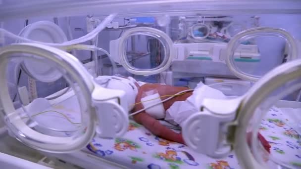 Little baby in the intensive care unit — Stock Video