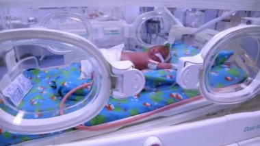 Küçük bebek yoğun bakımda. Yenidoğan tıp.