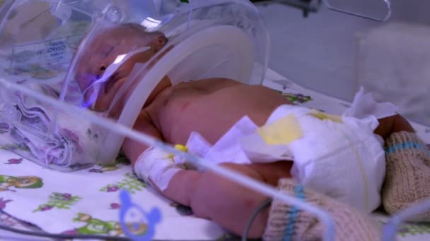 아기입니다. 신생아 의학. — 비디오