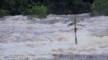 Tropikal Afrika, Ekvator Ginesi nehre gücünü