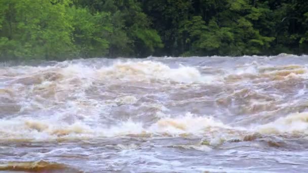 The powerful flow of the river after a tropical rain, Equator, Africa — Stock Video