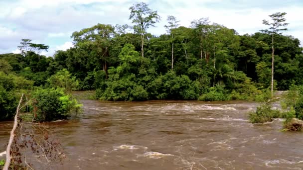 アフリカのジャングルの中で熱帯の川の広いパノラマ — ストック動画