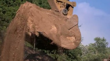 Yavaş hareket tarak