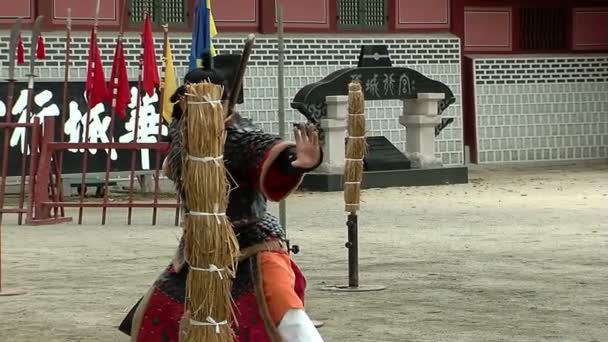 Koreanische Kampfkunst. Krieger hvarang. Geschicklichkeit Schwertkämpfer demonstrieren — Stockvideo