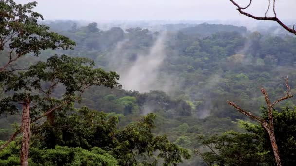 Красивий ландшафт. Випаровування вологи в тропічному лісі Африки. Timelapse — стокове відео