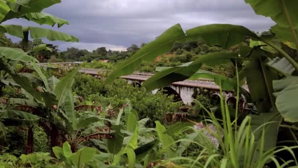 View of the bridge over the banana trees. The camera moves to the slider — Stock Video