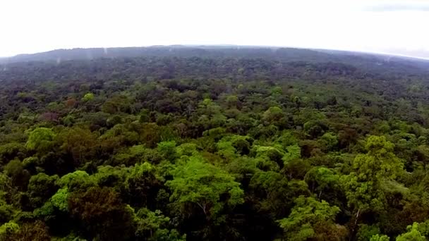 Regenwald Afrika. die Aussicht aus dem Hubschrauber. Flug über den Dschungel — Stockvideo