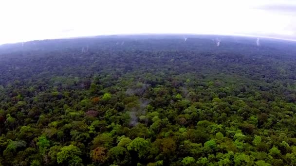 Africa. Equatorial Guinea jungle. View from the bird's-eye view — Stock Video