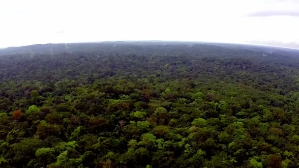 Rainforest Africa. La vue depuis l'hélicoptère. Survoler la jungle 