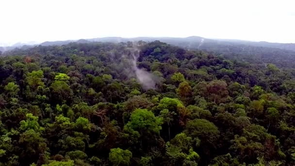 Brouillard sur la forêt tropicale. Survoler la jungle africaine 
