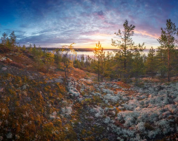 Russische Natuur Karelië — Stockfoto