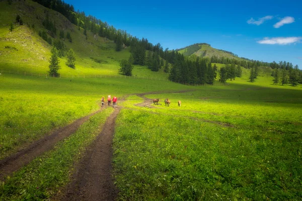 Trekking Altai Montañas — Foto de Stock