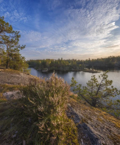 Russische Natuur Karelië — Stockfoto