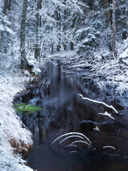 Floresta Inverno Rússia — Fotografia de Stock