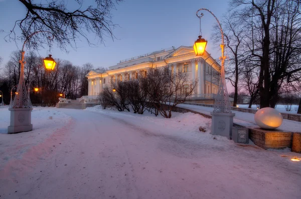 Елагиноостровский дворец в Санкт-Петербурге зимой Стоковое Фото