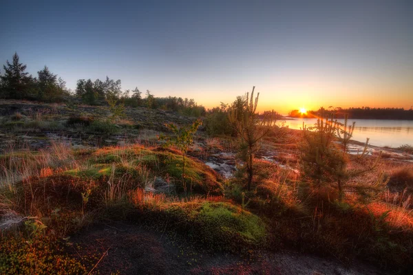 Sunrise in the Ladoga skerries — Stock Photo, Image