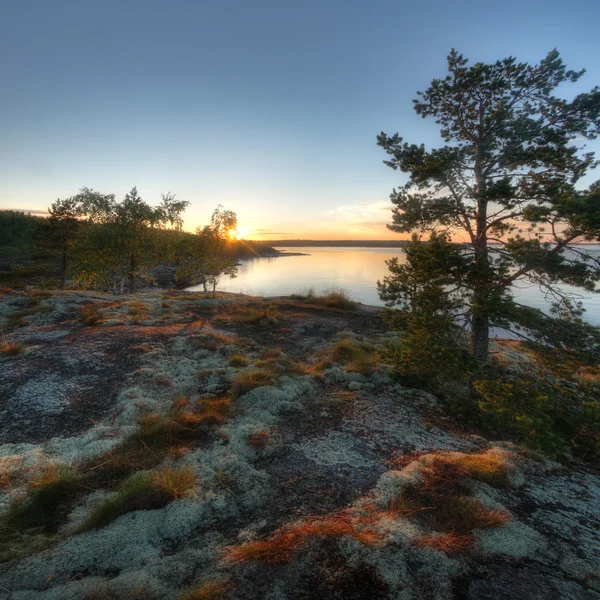 Coucher de soleil dans les skerries Ladoga Images De Stock Libres De Droits