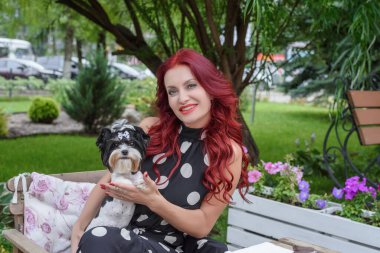 Yazın açık bir verandada bir kafede Yorkshire teriyeri tutan bir kadın. Köpekli mutlu kadın..