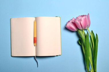 Boş sayfaları, davetiye için pembe laleleri ya da mavi arka plan için tebrikler olan açık kitapla yatıyordu. Üst görünüm, alanı kopyala.