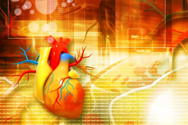 Ilustración digital del corazón humano — Stockfoto